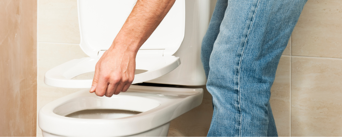 How to Change a Toilet Seat