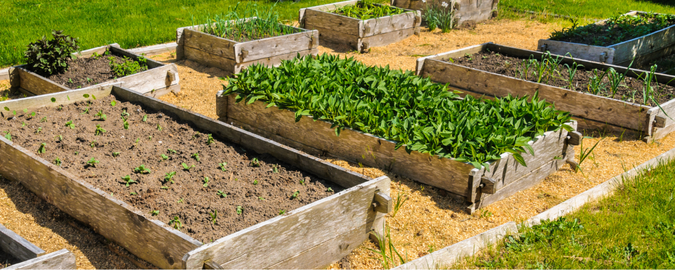 How to Make a Raised Garden Bed