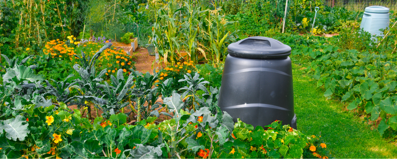 How to Start Composting