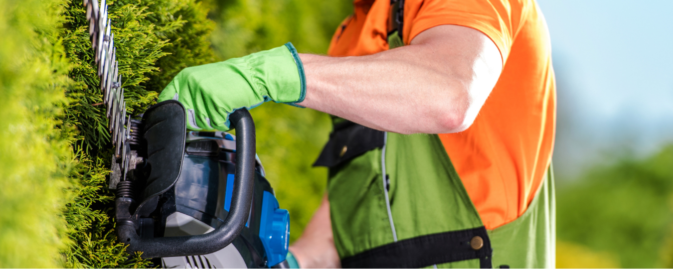 How to Use a Hedge Trimmer