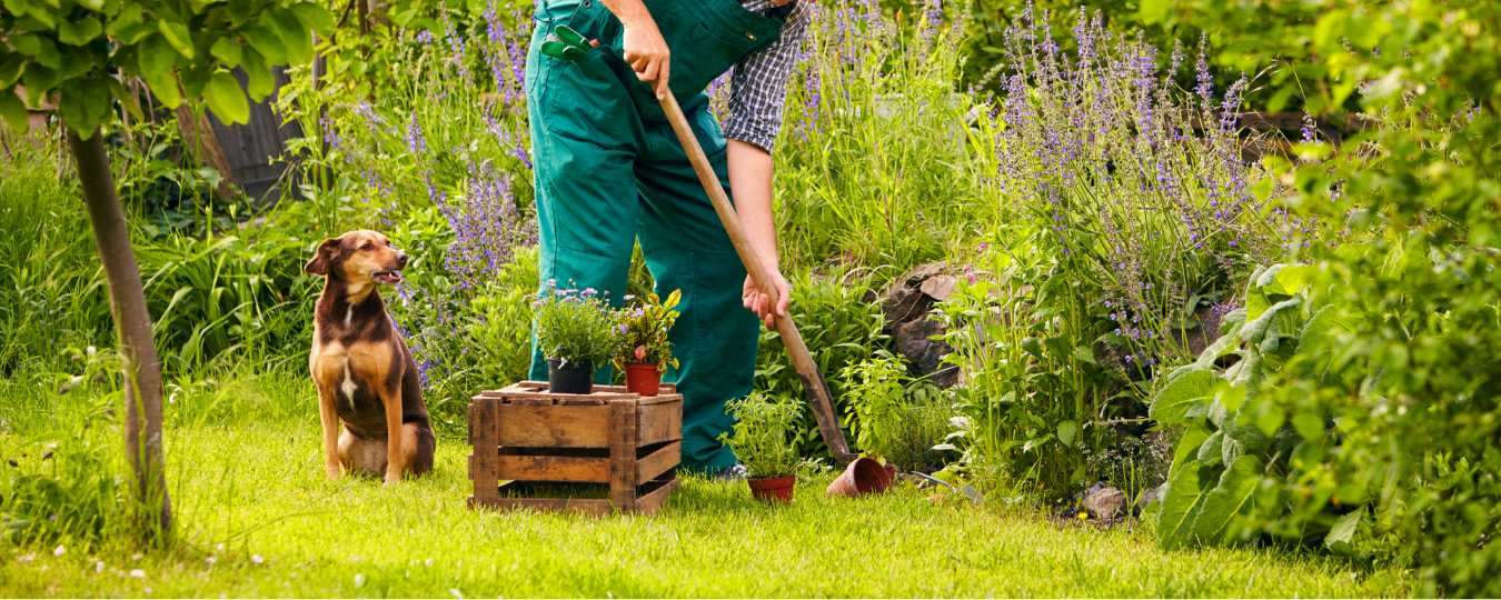 Your Gardening Calendar for the Year