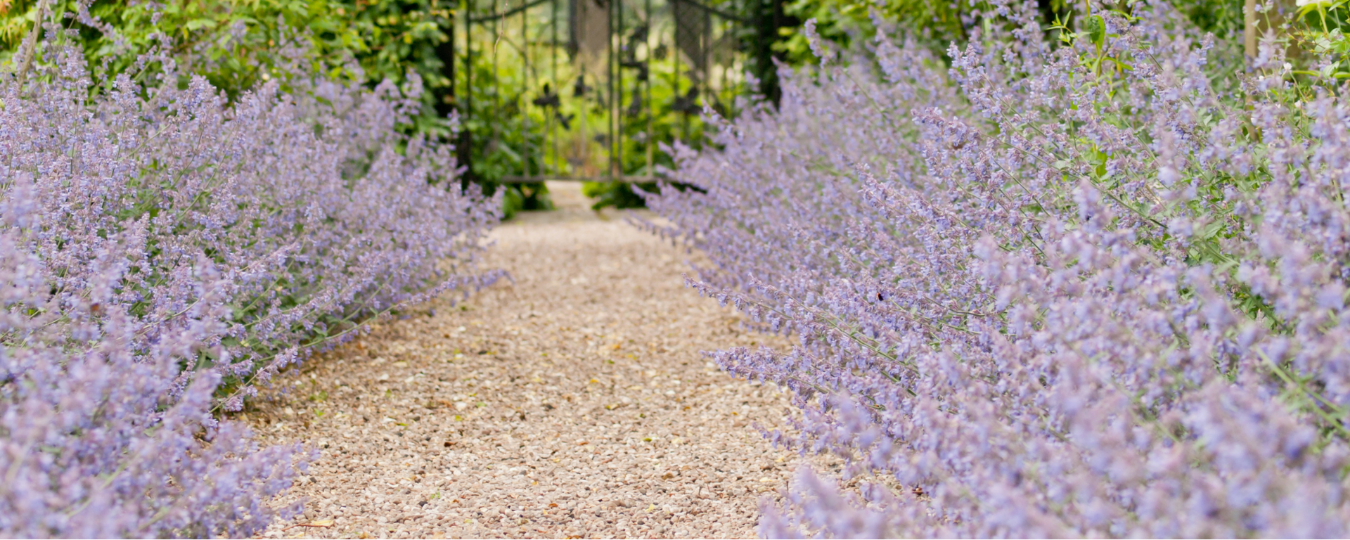 A Guide to Decorative Stone for Gardens