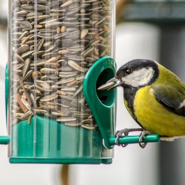 GARDMAN FLIP TOP SUNFLOWER HEART FEEDER