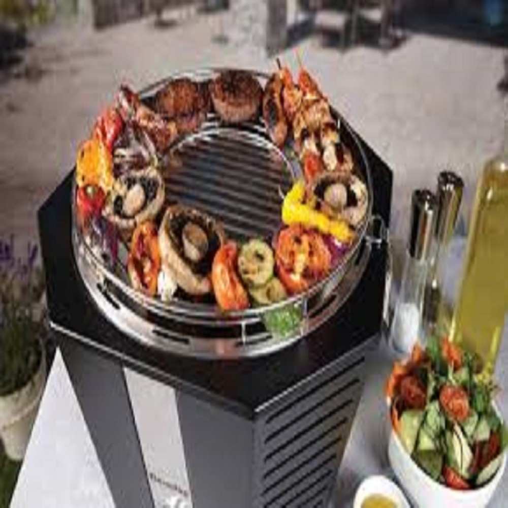 BERNDES BBQ PORTABLE GRILL