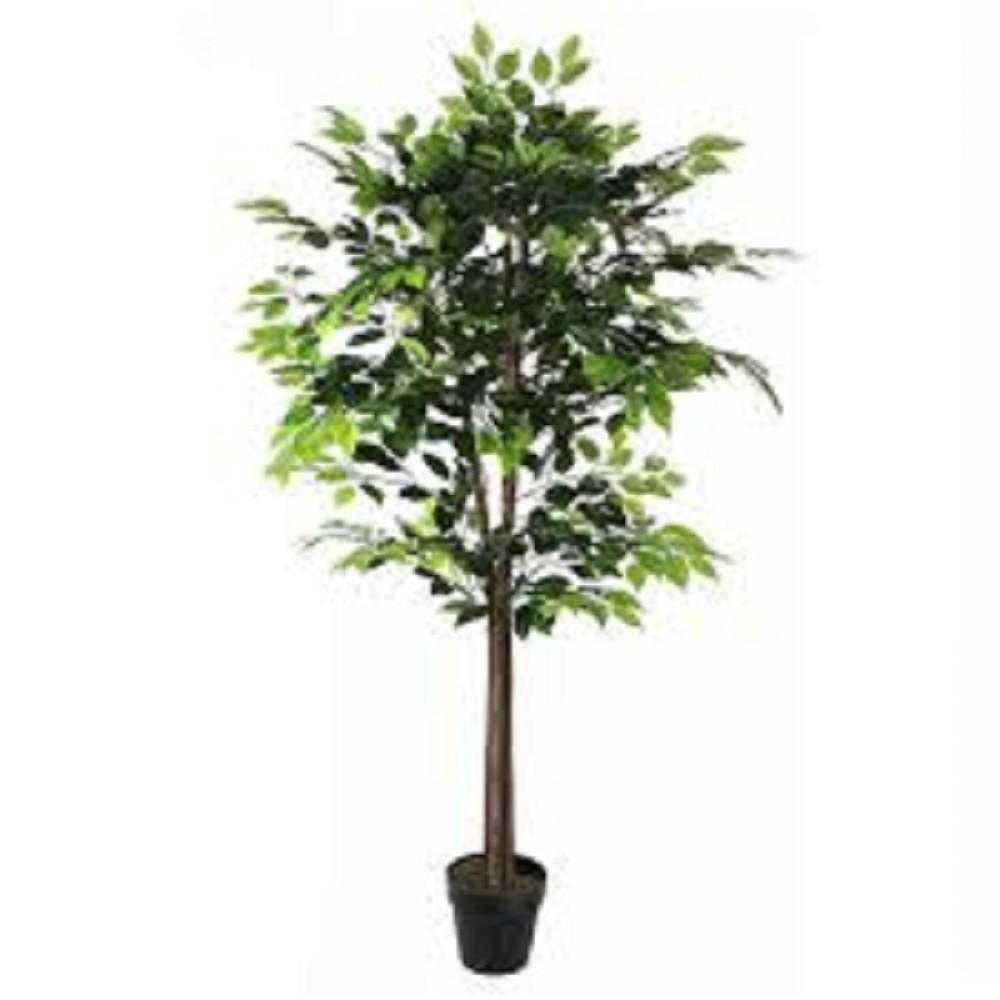 ARTIFICIAL FICUS IN POT