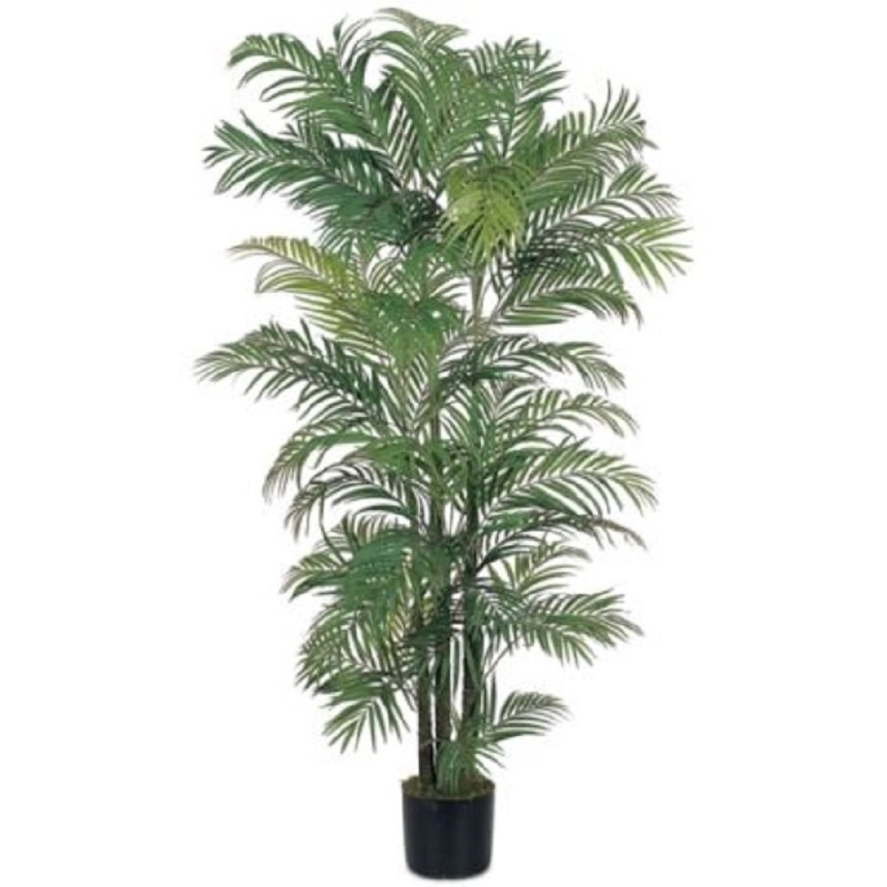 ARECA PALM TREE GREEN IN PLASTIC POT