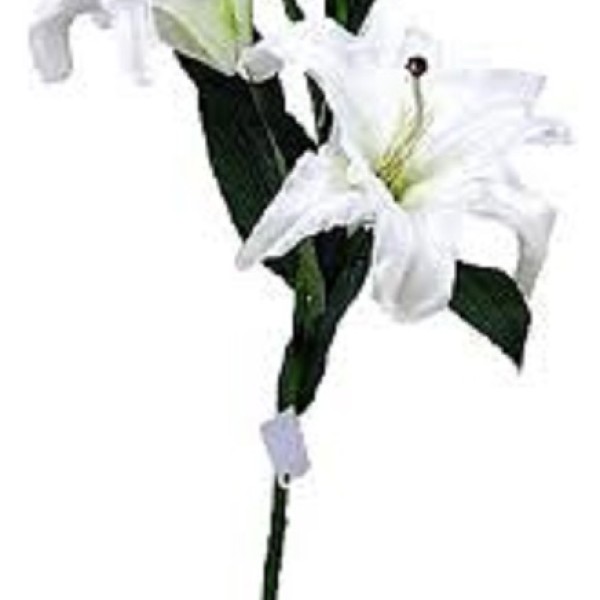 LILY ON STEM 3  FLOWERS WHITE/YELLOW
