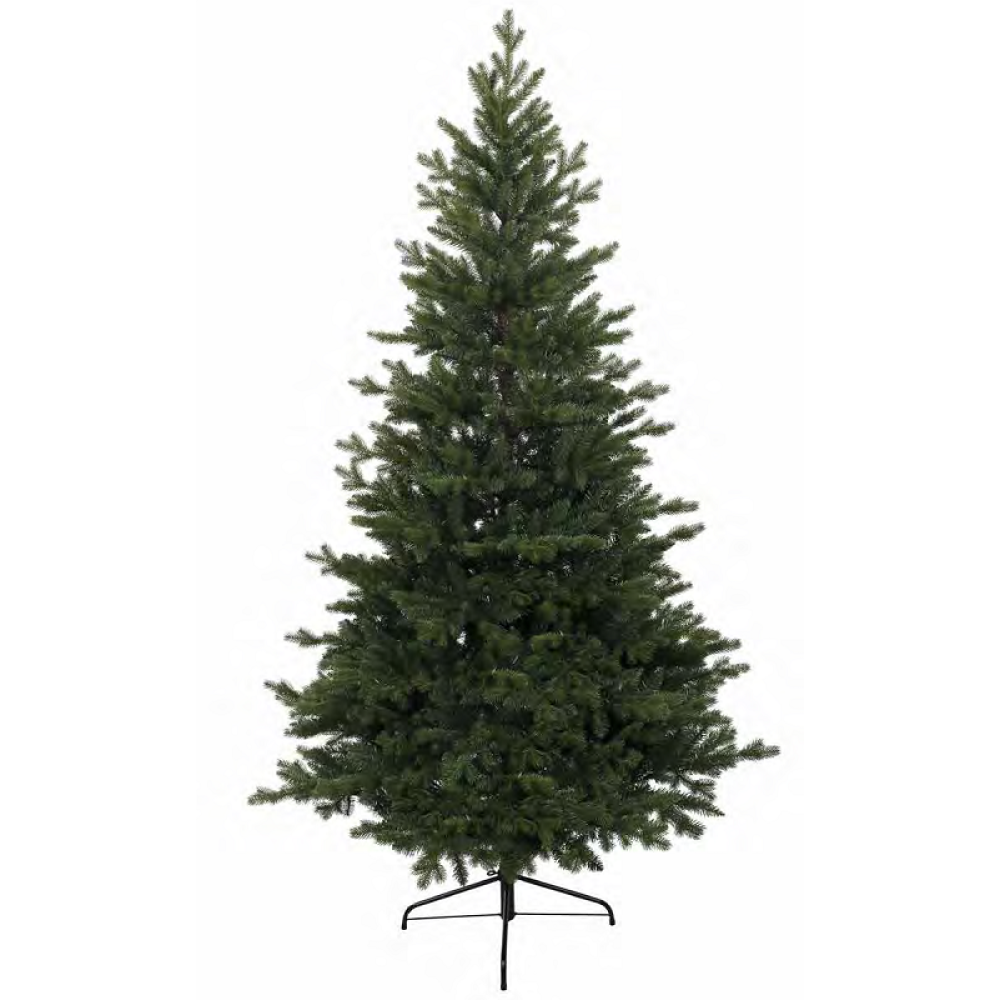 KINGSTON PINE TREE - 8FT