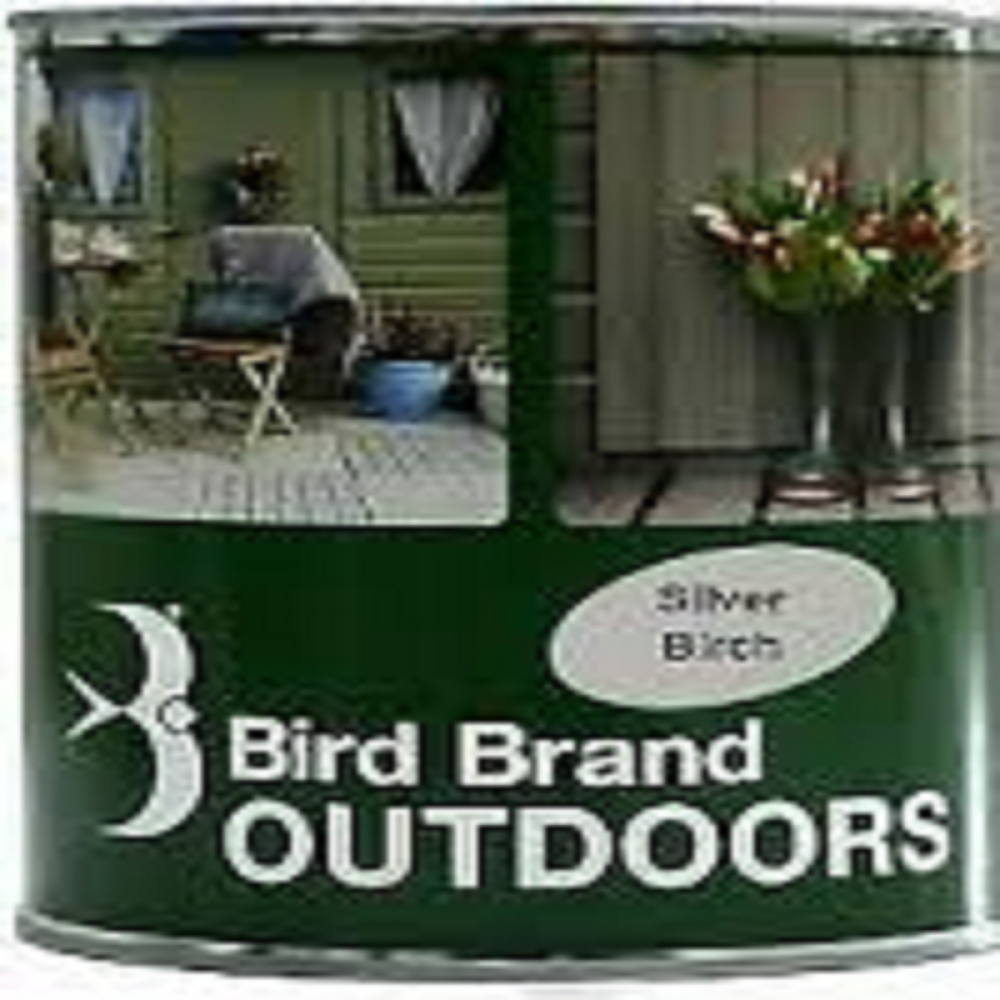 BIRD BRAND OUTDOOR PAINT SLIVER BIRCH 1L