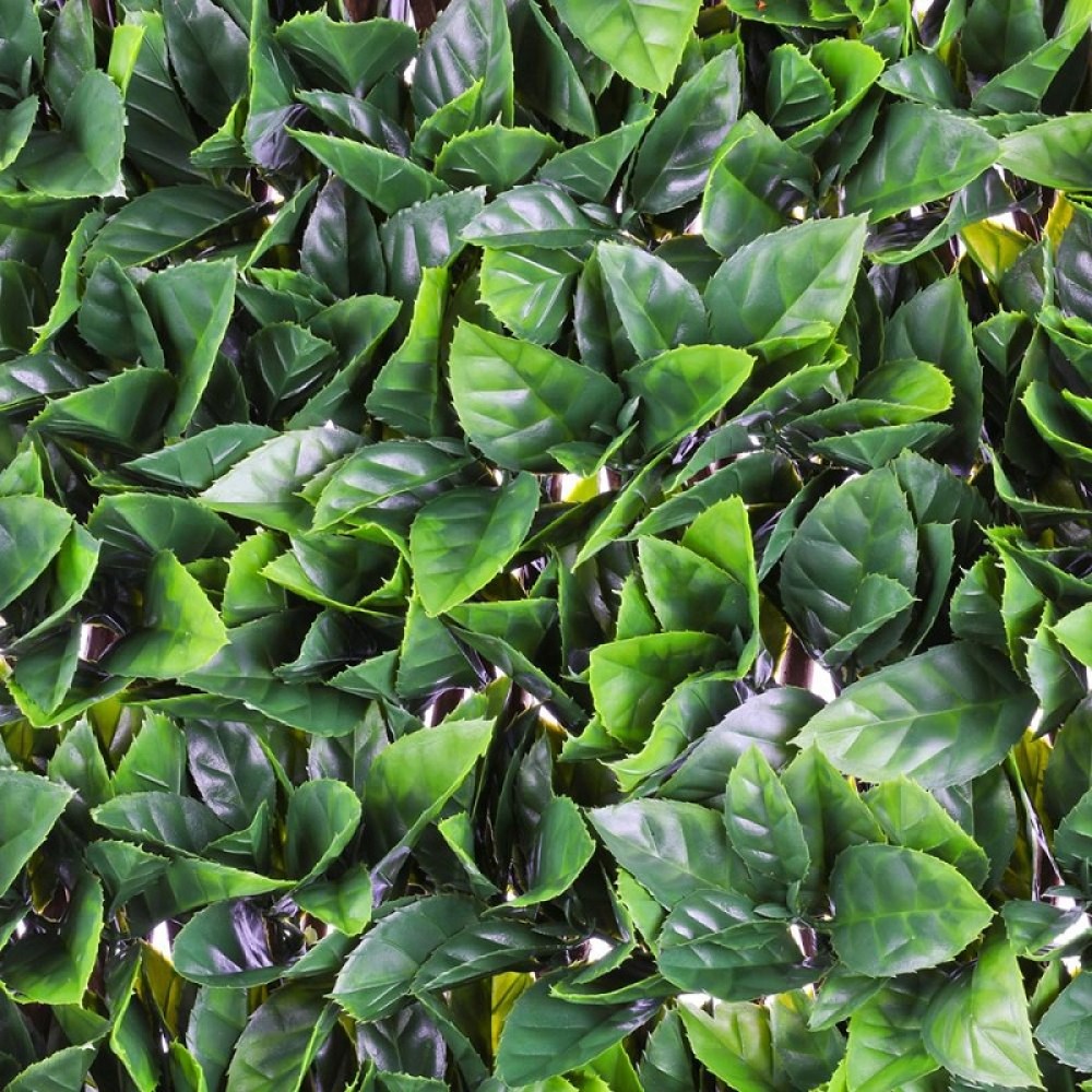 GARDENIA LEAF TRELLIS - 100 X 200CM