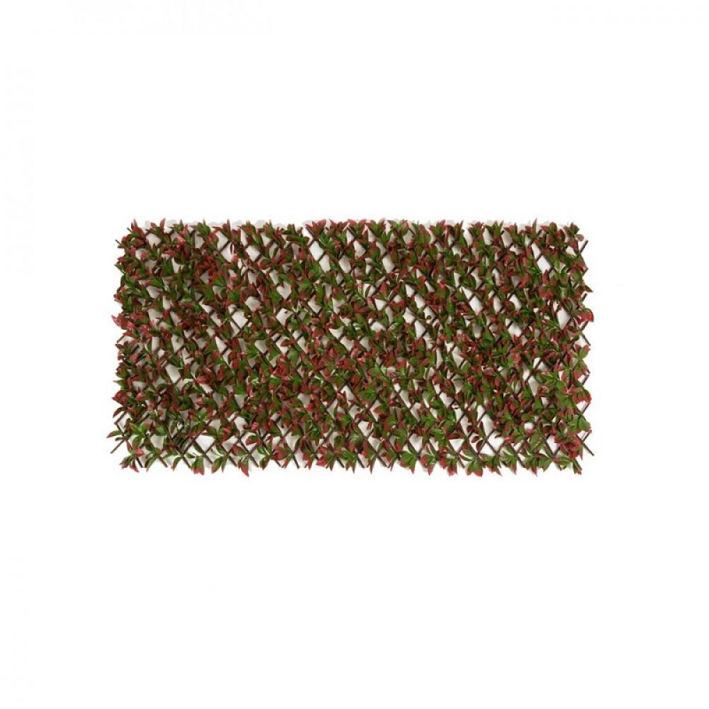 RED VARIEGATED BEECH TRELLIS - 100 X 200CM