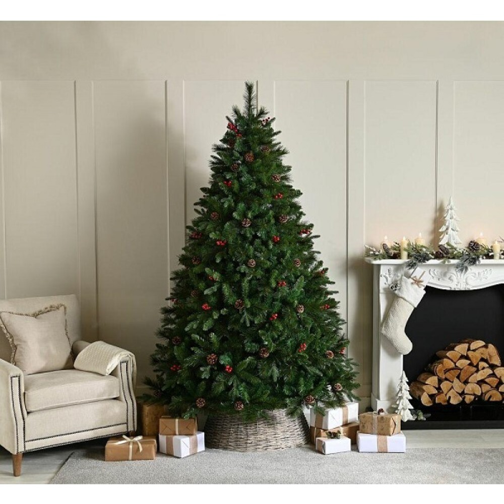 BEN NEVIS PINE TREE - 6FT