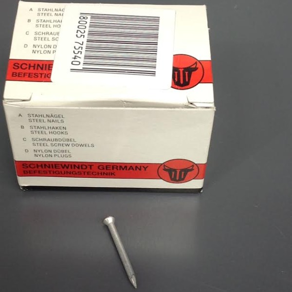 TN2 3.0 X 60MM STEEL NAILS (100)