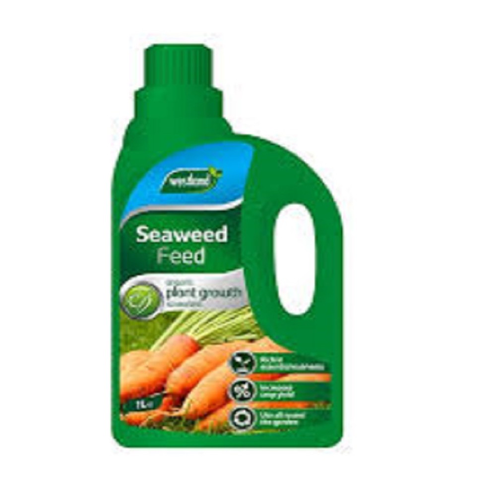 1LT CONCENTRATE SEAWEED FEED