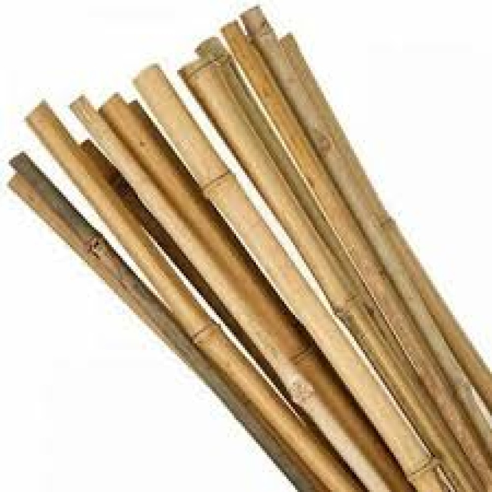 4FT BAMBOO CANE 10-12MM