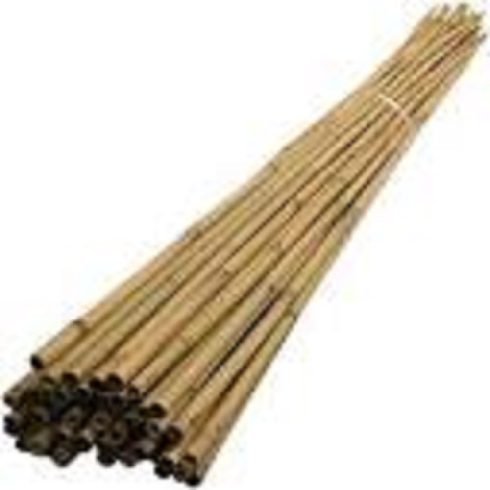 8FT BAMBOO CANE 12-14MM