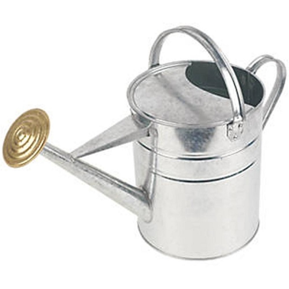 9LT GALVANISED WATERING CAN