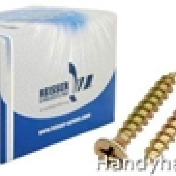 M4 X 50 REISSER R2 SCREWS