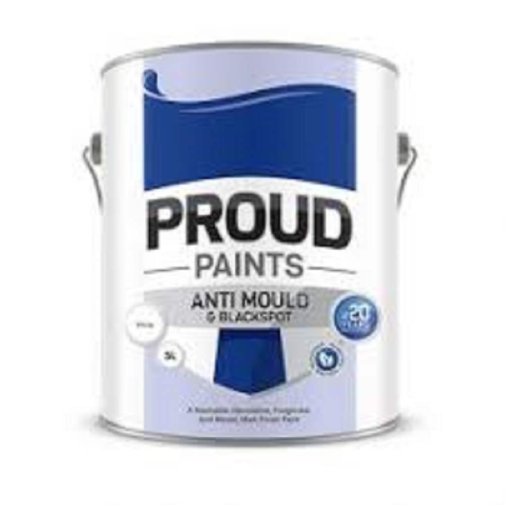 1LT ANTI MOULD & BLACKSPOT PAINT