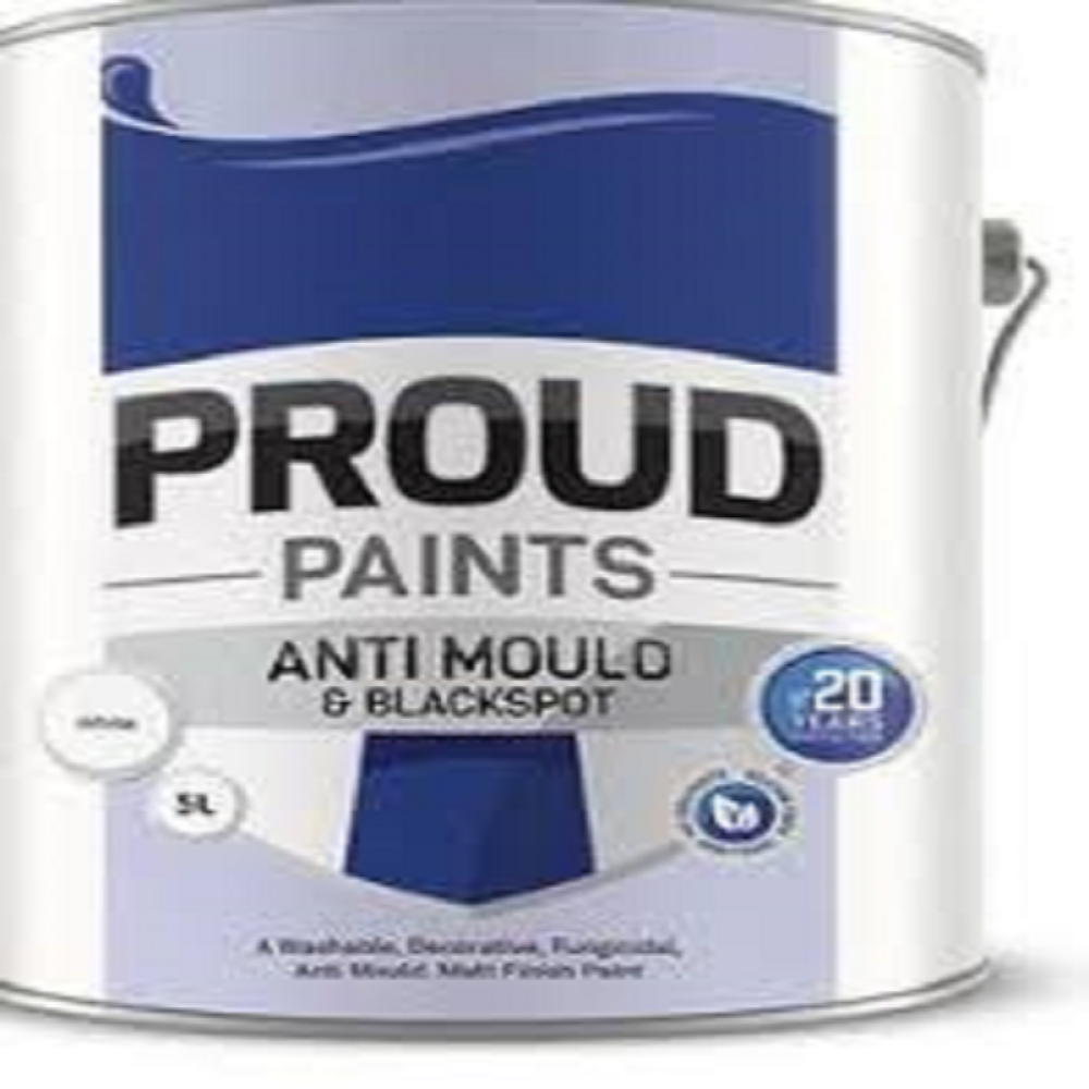 5LT ANTI MOULD & BLACKSPOT PAINT