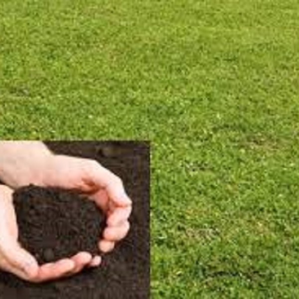 Bulk Bag TOP SOIL
