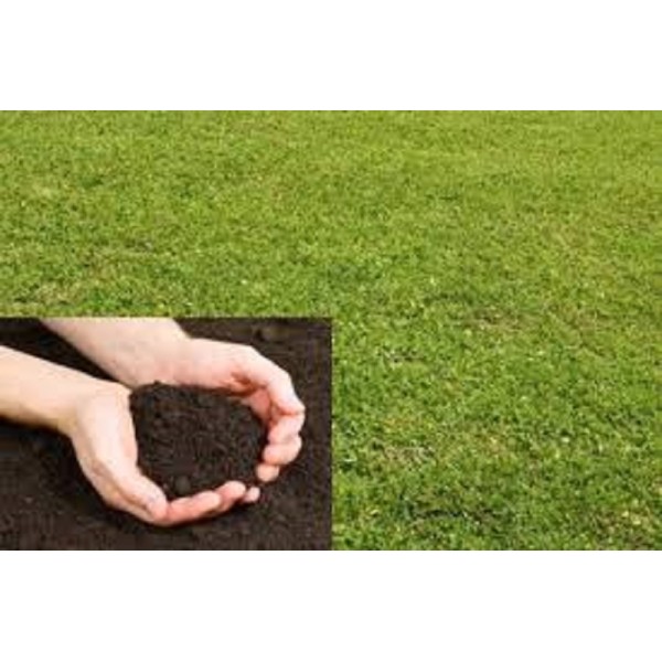 Bulk Bag TOP SOIL
