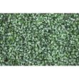 Picture of ARTIFICIAL BUXUS LIVING WALL - 1M