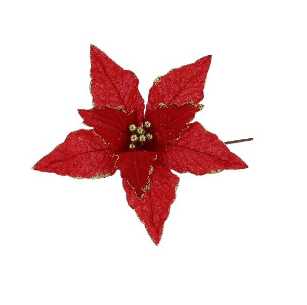 Picture of RED POINSETTIA WITH GOLD BERRIES