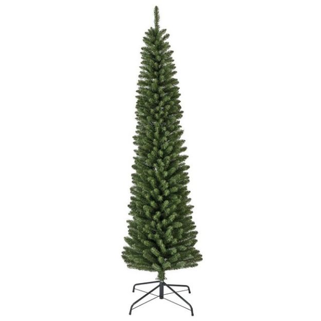 Picture of PENCIL PINE TREE - 7FT